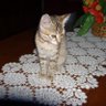 Josyane's profile picture