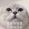 不留痕's profile picture