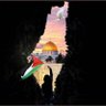 طارق الهنائي 🇵🇸🇴🇲 的头像