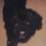 Incognegro 的头像