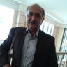 Behzad Madani's profile picture