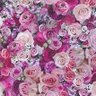 Lena 的头像