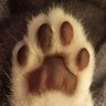 pasabaporaqui's profile picture