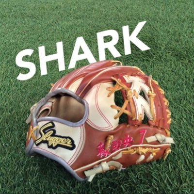 SharkSlugger's profile picture