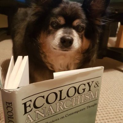Υπερβαμπιρική Lucy Westenra's profile picture