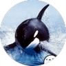 ふさふさ's profile picture