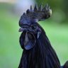 Фото профиля mr.gezer