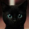 Houbin_Ma's profile picture
