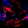 Arsdk 的头像