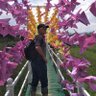 宕桑旺波's profile picture