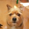 Mila Rzmn65 profil fotoğrafı