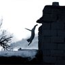 la resurrección del alerce profil fotoğrafı