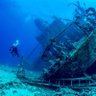 Dive Buddy profil fotoğrafı