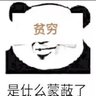 Ken Song （低风险地区群众） profil fotoğrafı