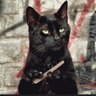 Фото профиля Carol Ray