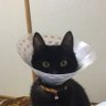 Profilbild von はずはず
