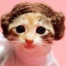 Helennetherland's profile picture