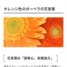 オレンジのガーベラ profil fotoğrafı