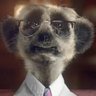 Profilbild von Scoobyseven