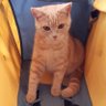 Profilbild von Taїса Березневий Овен