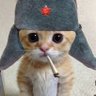 V.B.RnD's profile picture