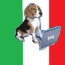 mainenewshound profil fotoğrafı