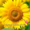 mo profil fotoğrafı