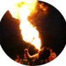 pleiades1959 PCR検査と治療薬の公費負担を求めます's profile picture