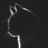 bc-yyylw profil fotoğrafı