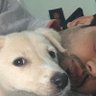 AD's profile picture