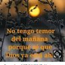 Marcelo Gutierrez's profile picture