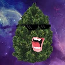 DareH99's profile picture