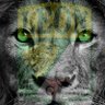 J. Guadalupe Tavares's profile picture