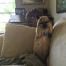 donna taylor's profile picture