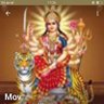 rajan456..nifty option player's profile picture