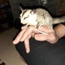 ゆん profil fotoğrafı