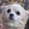 Profilbild von ぎょうざ