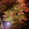 Фото профиля なげやり