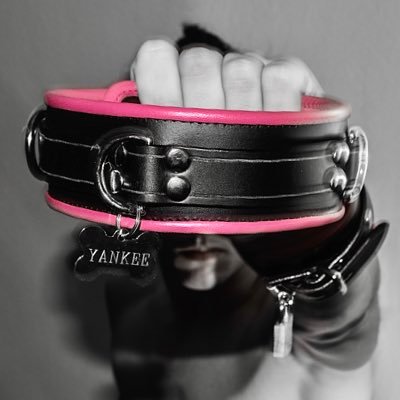 pup_yankee's profile picture