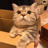 Gabriel_D's profile picture