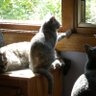 smsunsparkle profil fotoğrafı