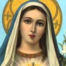 María's profile picture