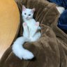 古川和洋's profile picture