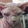 Фото профиля Изольда Язвицкая