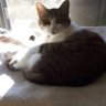 えくさ 的头像