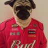 Gerald Campbell's profile picture