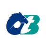 Profilbild von Capital OTB