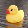 ピピピ's profile picture