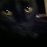 Profilbild von Asterjax