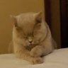Marie Jeanne's profile picture